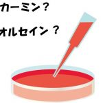 学力テストBまでもう１ヶ月・・・