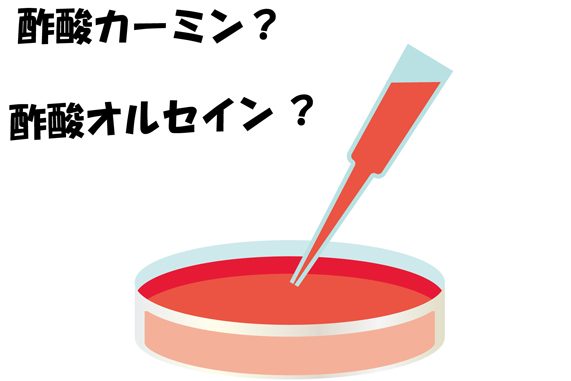 学力テストbまでもう１ヶ月 家庭教師のファミリー