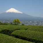 ある県では特別な日？