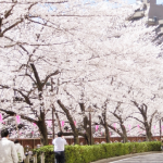 春休みの過ごし方、中学生にオススメなのはこれ！