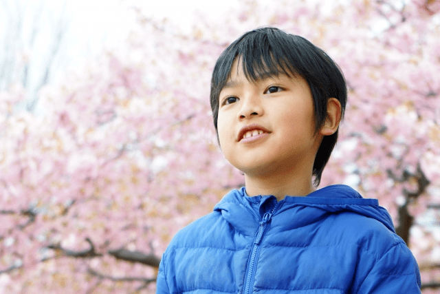 満開の桜と男の子