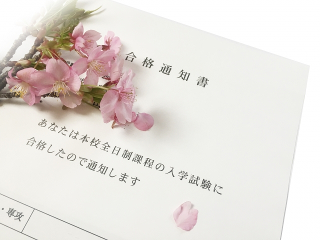 合格通知書と桜